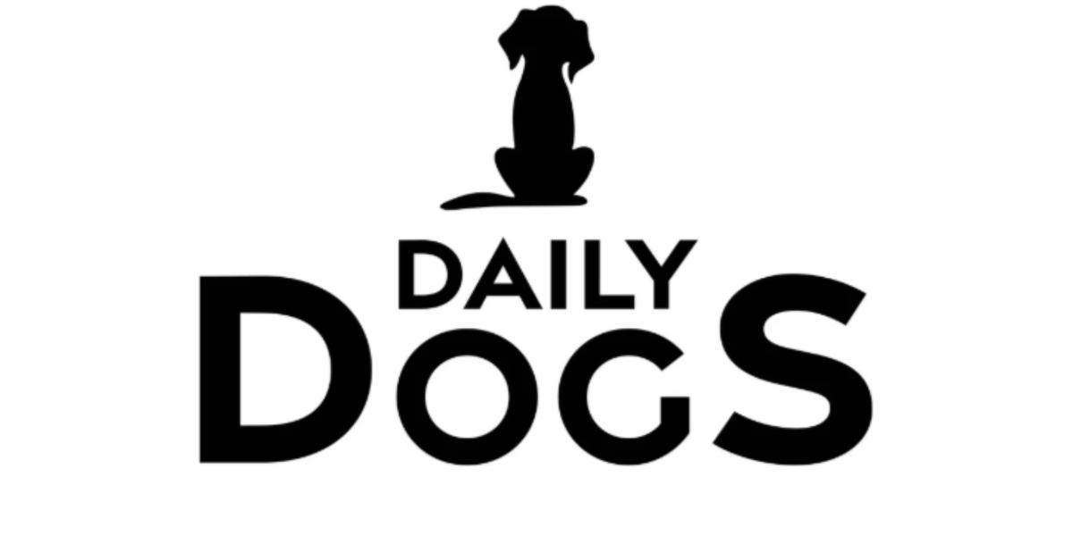 DailydogS 